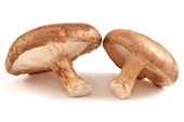 Грибная аптека: лечебные грибы в Самаре