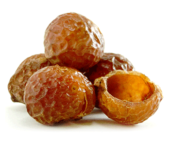 soapnuts4
